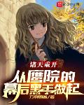 霍格沃茨的幕后阴谋家
