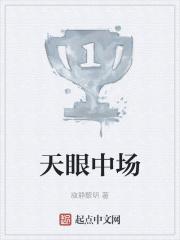 天眼中场