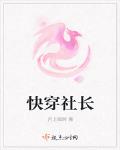 快穿社长