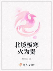 北境极寒火为贵