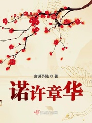 诺许章华