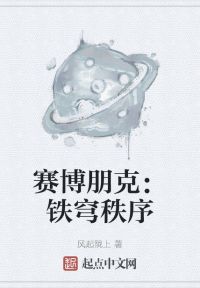 赛博朋克：铁穹秩序