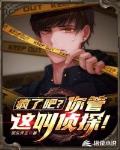 疯了吧？你管这叫侦探！
