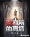 戒毒所的高墙