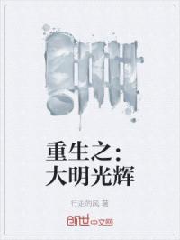 重生之：大明光辉