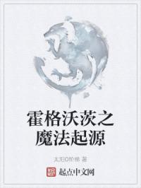 霍格沃茨之魔法起源