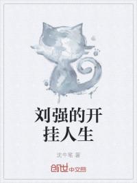 刘强的开挂人生