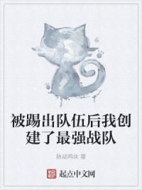被踢出队伍后我创建了最强战队