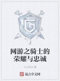网游之骑士的荣耀与忠诚