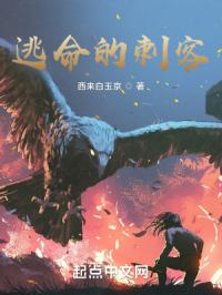 逃命的刺客