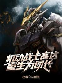 机动战士高达重生为团长