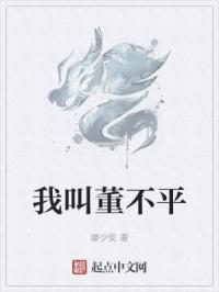 我叫董不平
