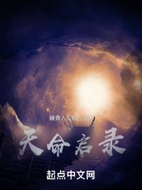 天命启录