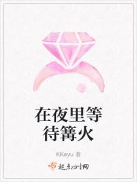 在夜里等待篝火