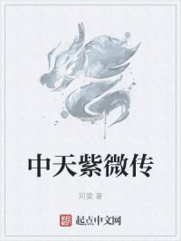 中天紫微传