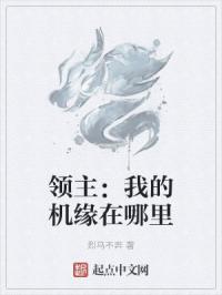 领主：我的机缘在哪里