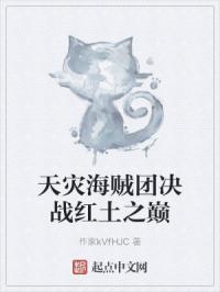 天灾海贼团决战红土之巅