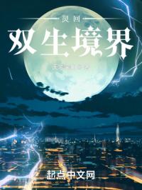 灵回：双生境界