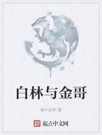 白林与金哥