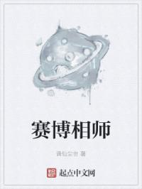 赛博相师