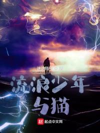 流浪少年与猫