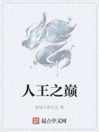 人王之巅