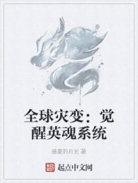 全球灾变：觉醒英魂系统