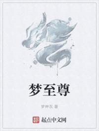 梦至尊