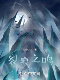 裂痕之鸣
