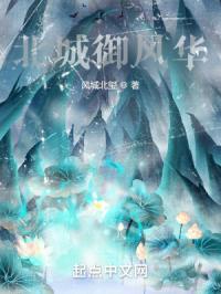 北城御风华