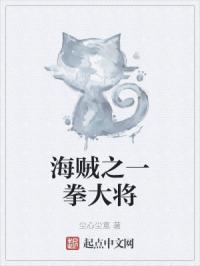 海贼之一拳大将