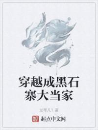 穿越成黑石寨大当家
