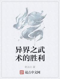 高武之风灵月影