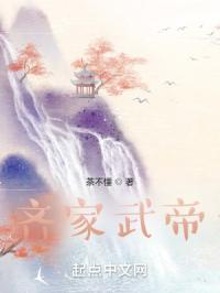 齐家武帝