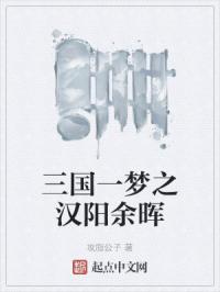 三国一梦之汉阳余晖