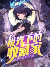极光下的收藏家