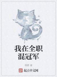 我在全职混冠军