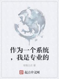作为一个系统，我是专业的