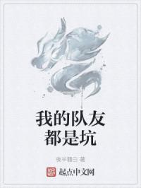 我的队友都是坑