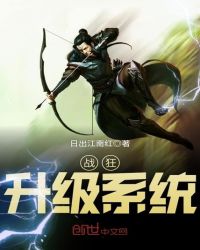 战狂升级系统