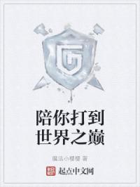 陪你打到世界之巅