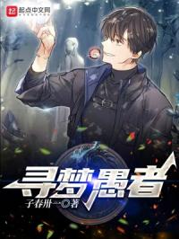 寻梦愚者