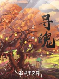 寻魄