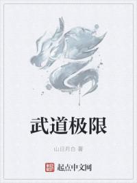 武道极限