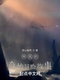 林风的奇妙冒险故事