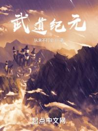 武道纪元