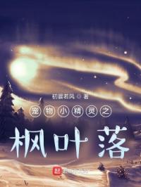 宠物小精灵之枫叶落