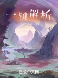 一键解析