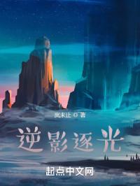 逆影逐光