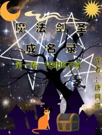 魔法剑圣成名录